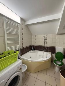 a bathroom with a tub and a toilet and a washing machine at CENTRUM 22 RESIDENCE Ap II in Sibiu +13 photos