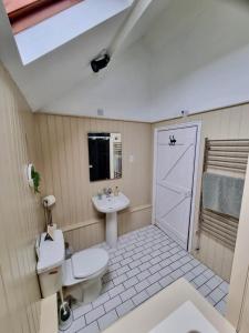 a bathroom with a toilet and a sink at The Piggery - North Wales Retreat - Wilde Retreats in Pwllheli +51 photos