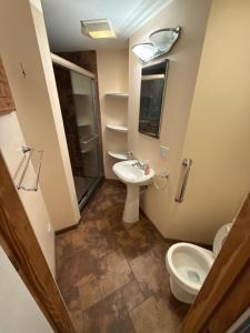 a bathroom with a toilet and a sink at Arboretum house in Glen Ellyn +4 photos