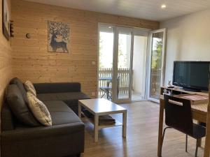 a living room with a couch and a table and a television at Cocon montagne Rocher du Cerf in Le Lioran
