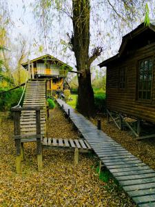 Vườn quanh casa alpina Maxi premiun