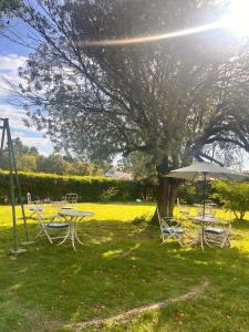 Fotografie z fotogalerie ubytování Hotel Mundial v destinaci Merlo + 11 fotografií