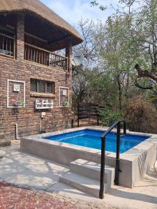 Swimmingpoolen hos eller tæt på Figtree Escape