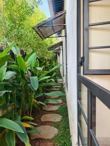 Vườn quanh Casa Century