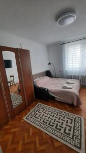 1 dormitorio con cama, espejo y alfombra en Studio - city center, en Chişinău