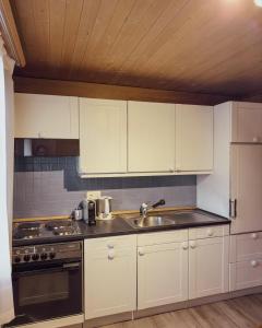 Kuchyň nebo kuchyňský kout v ubytování Chalet Brauerei + 10 fotografií