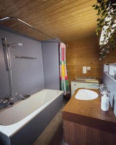 Koupelna v ubytování Chalet Brauerei