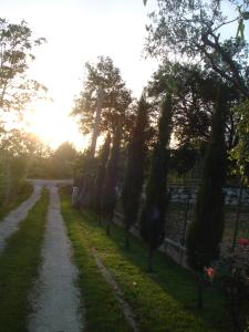 una strada sterrata con alberi e una recinzione di Agriturismo La Fattoria a San Donato Val di Comino