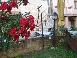 A garden outside Agriturismo La Fattoria