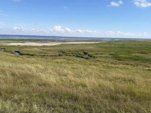 ein offenes Feld mit hohem Gras und einem Fluss in der Unterkunft 4 person holiday home in Rømø-By Traum in Sønderby