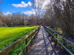 Φυσικό τοπίο κοντά σε αυτό το διαμέρισμα