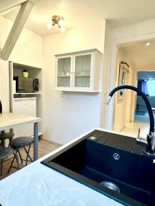- une cuisine avec un évier noir dans l'établissement Appartement cosy, à Wolfisheim