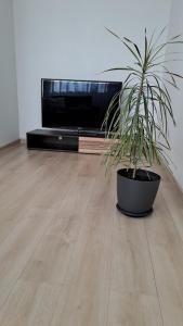 Et tv og/eller underholdning på Irenos Nuoma