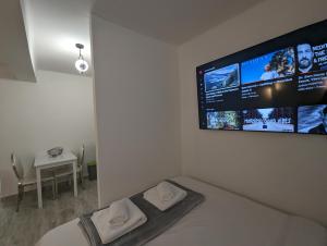 TV a/nebo společenská místnost v ubytování Downtown Zagreb Abode