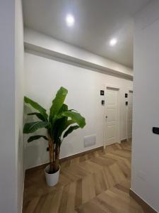 a hallway with a potted plant in a room at B&B La Rotonda in Naples