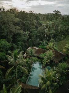 einen Blick über das Resort mit Pool und Bäumen in der Unterkunft Aksmi Suites & Villas in Bedahulu