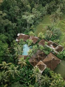 eine Luftansicht eines Resorts im Dschungel in der Unterkunft Aksmi Suites & Villas in Bedahulu