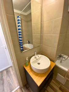 Koupelna v ubytování Beautiful air-conditioned apartment in the centre