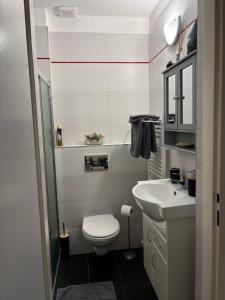 Ένα μπάνιο στο Apartmán U jezírka