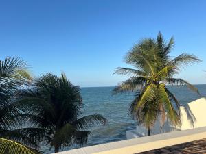 zwei Palmen am Strand in der Nähe des Ozeans in der Unterkunft Casa La France in Caucaia