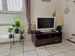 a living room with a tv on a cabinet with plants at Maison 3 personnes entre lac et forêt in Léry