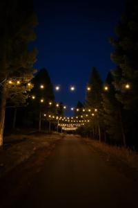 Fotografie z fotogalerie ubytování Pinebox at Evergreen Modern 20Acres -Serene-Creek v destinaci Evergreen