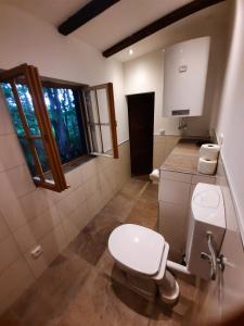 ein Badezimmer mit einer weißen Toilette und einem Waschbecken in der Unterkunft Wildromantische Berghütte mit Traum-Panorama in Haus + 37 Fotos