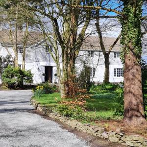 ein weißes Haus mit Bäumen vor einer Straße in der Unterkunft Brackengarth House in Purdysburn