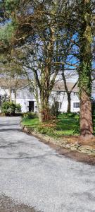 eine leere Straße vor einem weißen Haus in der Unterkunft Brackengarth House in Purdysburn