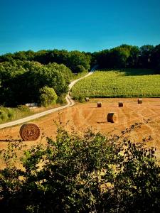 Příroda nedaleko prázdninového domu