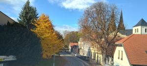 a street in a town with trees and buildings at Apartmán Jana in Vysoké Mýto