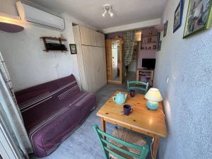 Μια τηλεόραση ή/και κέντρο ψυχαγωγίας στο Appt Studio 2 couchages CAP D'AGDE NATURISME