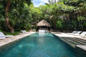 - une piscine dans un complexe avec des chaises et des arbres dans l'établissement Ocean View Jungle Nest - 2min From The Beach, à Santa Teresa