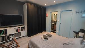 TV a/nebo společenská místnost v ubytování LOFT Descartes