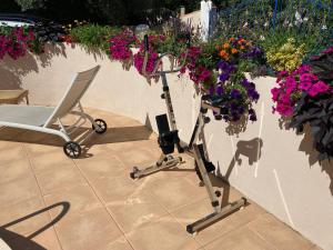 a plant stand with flowers on a wall at Les Hauts d'Eyragues gîte Aigue Marine Meublé classé 4 étoiles in Eyragues