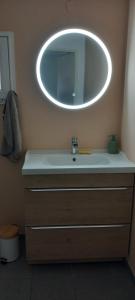 a bathroom with a sink and a mirror on the wall at Appartement Lanton in Lanton