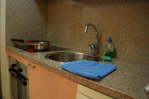 a kitchen sink with a blue towel sitting next to it at Soldeu Paradis La Solana in El Tarter +23 photos