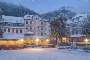 巴特贝特里希Hotel Fürstenhof Bad Bertrich的一群在晚上下雪的建筑物