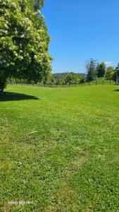Fotografie z fotogalerie ubytování Cabaña Panguipulli - Sector Altos de Palguin v destinaci Panguipulli