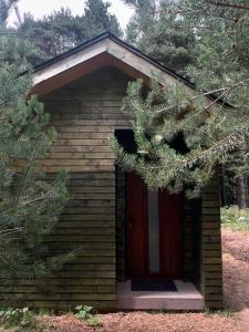 a small cabin with a red door in a forest at Zarevo Glamping Forest Houses in Skobelevo
