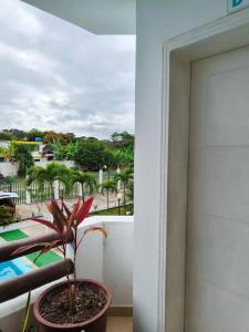 une plante dans un pot à côté d'une porte dans l'établissement Apartamento grande enfrente del océano, à Tonsupa 4 autres photos