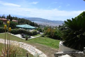 einen Garten mit Stadtblick in der Unterkunft Tranquil Infinity Pool Getaway (private jacuzzi and steam bath, pool, garden, sea and city views) in Volos
