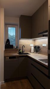 a kitchen with a sink and a window at Lipa Apartmán in Tlmače
