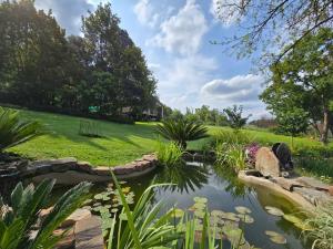 Příroda nedaleko penzionu