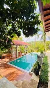 Swimmingpoolen hos eller tæt på Brown Birds Villa