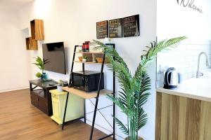 a kitchen with a counter and a plant in a room at Suite Golan in Neot Golan