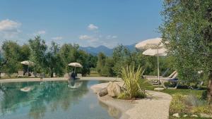 Příroda nedaleko farmy