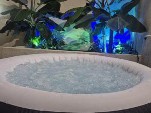 a bath tub filled with water next to two plants at פינוק של סוויטה in Manot