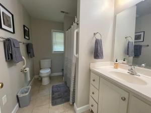 a bathroom with a sink and a shower and a toilet at Deer Run Creek Cottage in Mountain City +10 photos