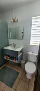 Villa Fleurs d'Air en côte sous le vent في ديساي: حمام مع مرحاض أبيض ومغسلة